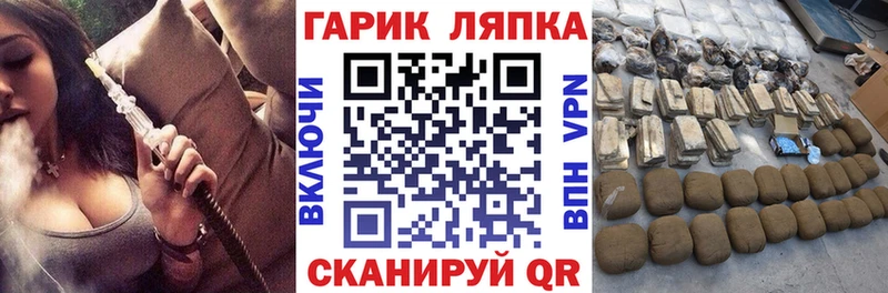 где купить наркоту  Заволжье  ГАШИШ индика сатива 