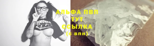 сатива Дмитров