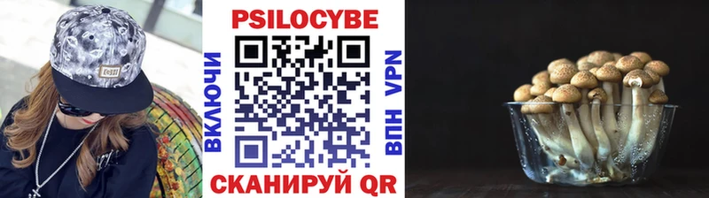 Псилоцибиновые грибы Psilocybine cubensis  Заволжье 